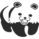 Panda 36szt